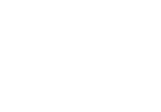 VNGGames Logo